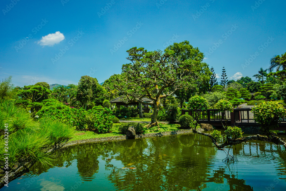 a big lake with green tree with various color on japanese garden style with blue sky - photo