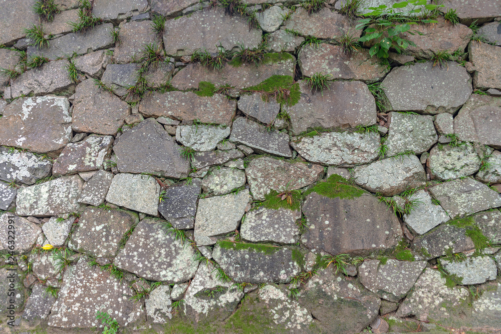 Obraz premium 背景素材 福山城石垣