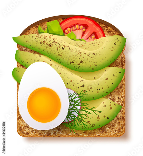 Avocado toast with fresh slices of ripe avocado, seasoning and dill, tomato and boiled egg. Delicious avocado sandwich. Vector illustration