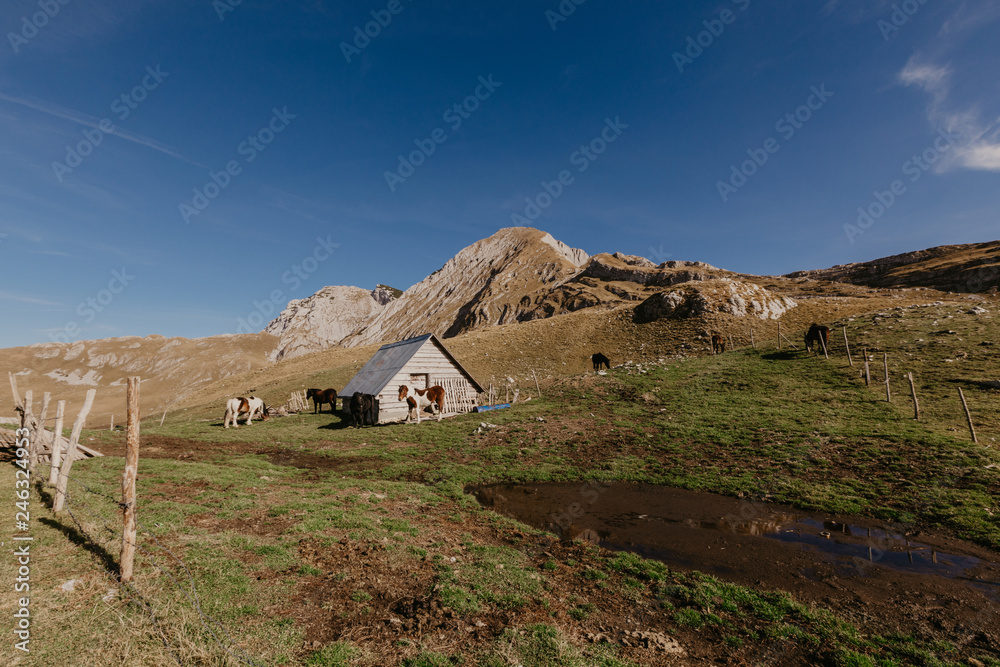 Wonderful view to mountains in the national park Durmitor in Montenegro, Balkans. Europe. Beauty world. - Image. Wonderful view to mountains in the national park Durmitor in Montenegro, Balkans. Europe. Beauty world. - Image.