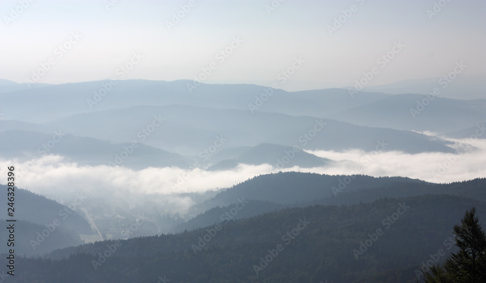 Mist in Beskid Sadecki. View from Jaworzyna Mount toward South, Krynica-Zdroj, Poland. 