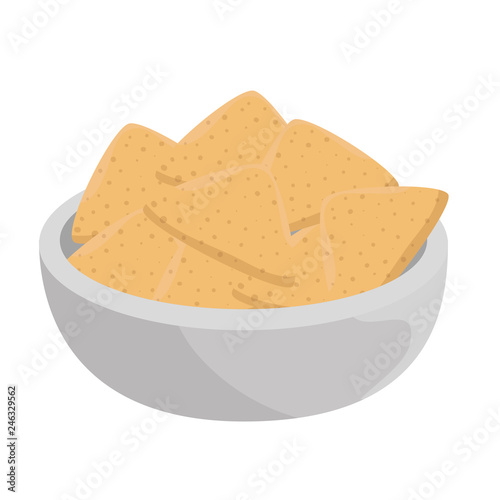 delicious nachos mexican food