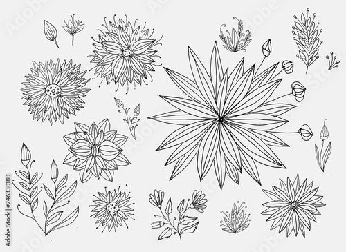 A set of hand-drawn elements for decoration. Floral motifs, flowers