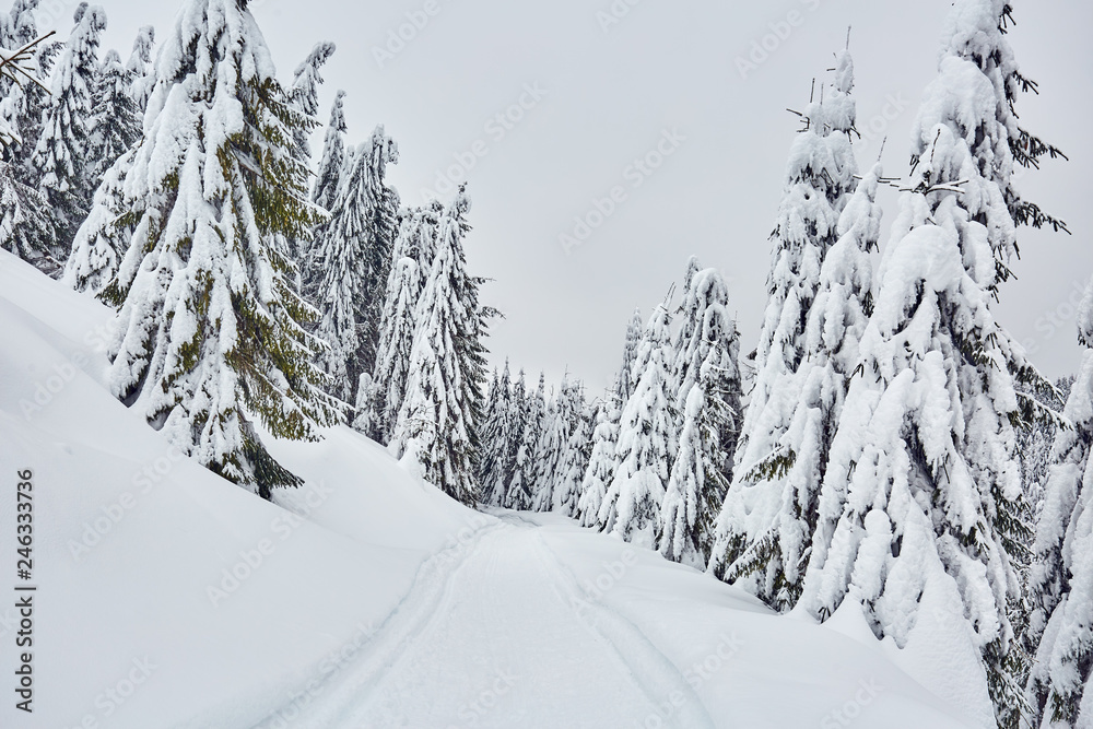 Fototapeta premium Mountain road during winter