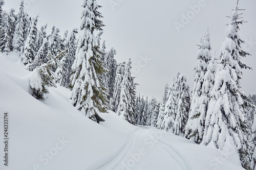 Mountain road during winter