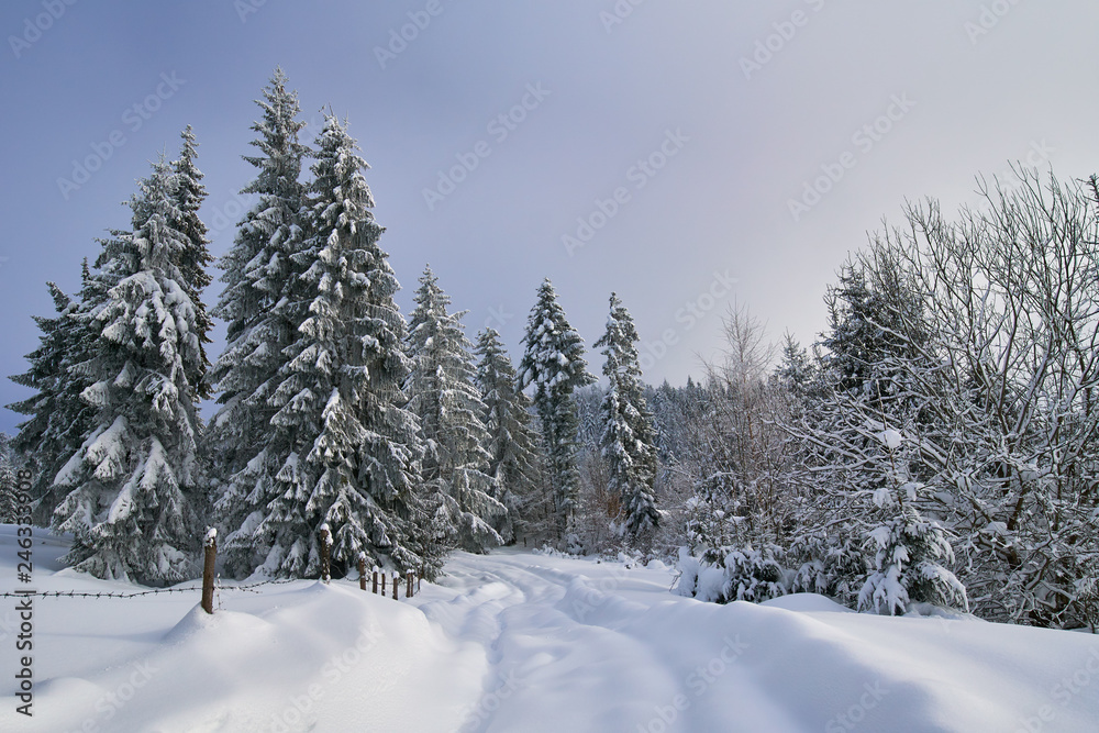 Mountain road during winter