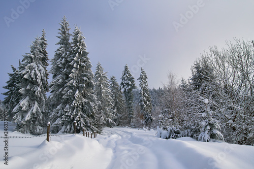 Mountain road during winter © Xalanx