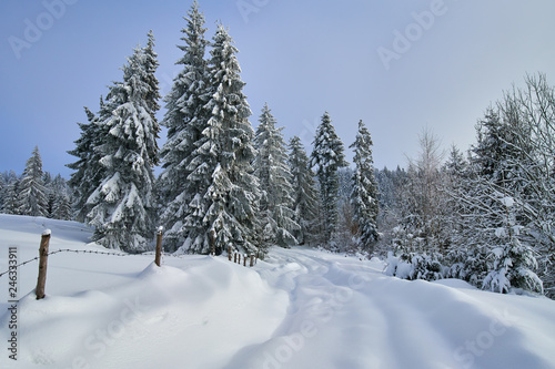 Mountain road during winter