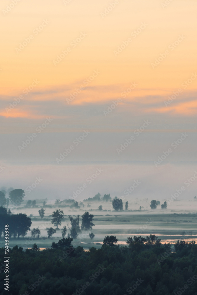 Mystic view on forest under haze at early morning. Mist among tree silhouettes under predawn sky. Gold light reflection in water. Calm morning atmospheric minimalistic landscape of majestic nature.
