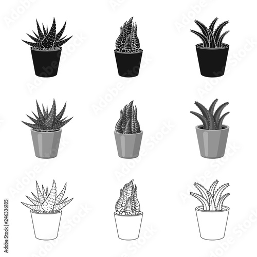 Vector illustration of cactus and pot sign. Collection of cactus and cacti vector icon for stock.