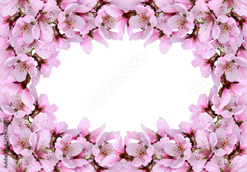 Floral frame wuth spring tw...