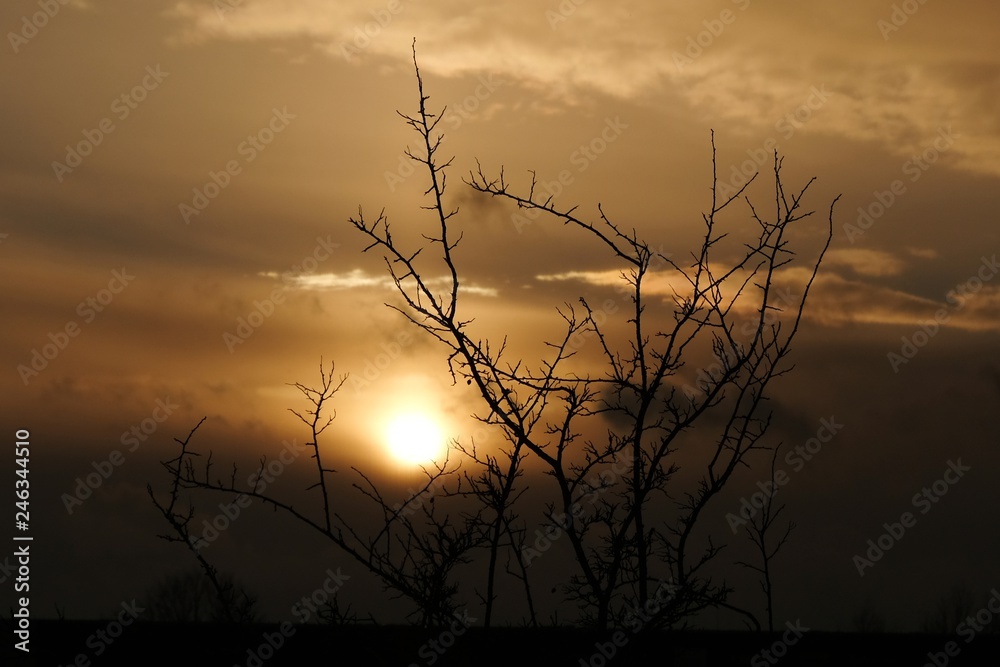 Fototapeta premium Kolory zachodu słońca