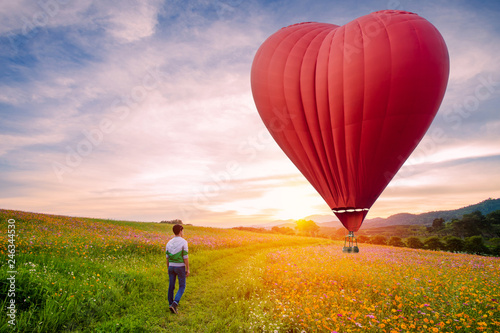 Silhouetted of Asian man standing on cosmos flowers with Red hot air balloon in the shape of a heart over the sunset.