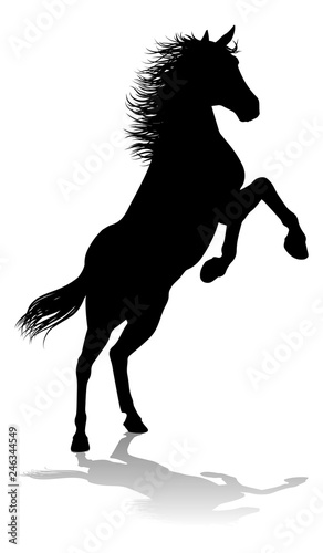 A horse animal detailed silhouette graphic