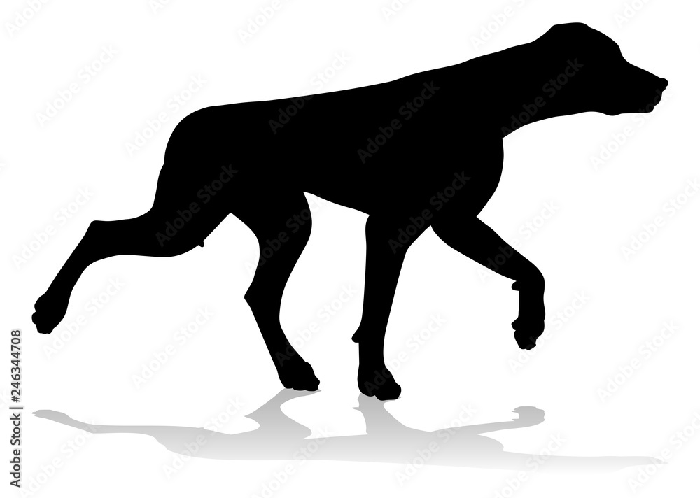 Obraz premium A detailed animal silhouette of a pet dog