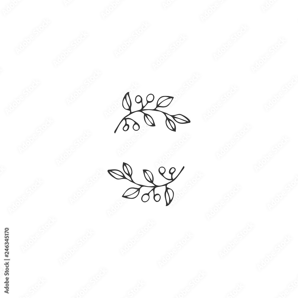 Floral hand drawn logo element in elegant and minimal style.