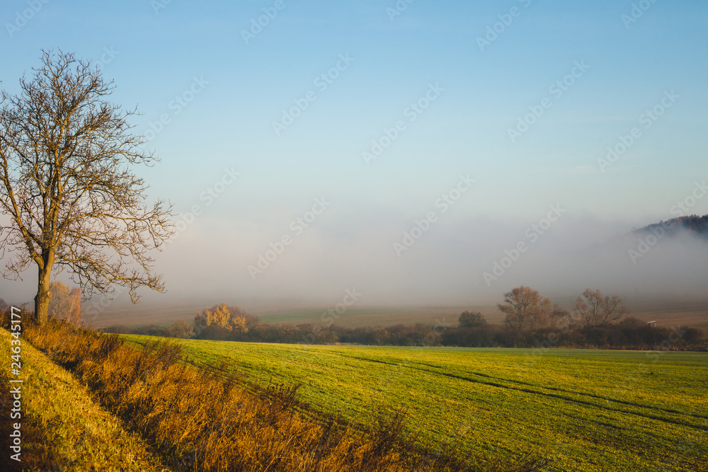 Obraz premium Country field landscape on autumn day