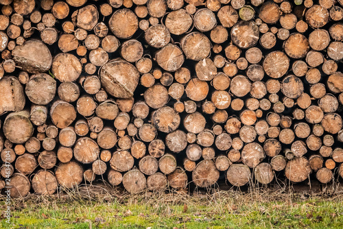 Firewood log pile background picture