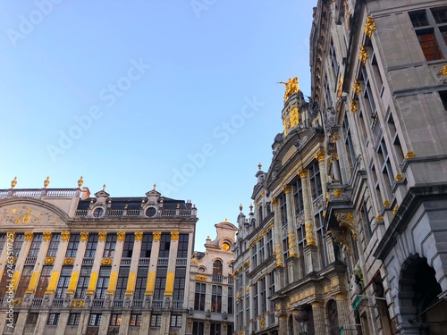 Edifici dorati della Grande Place, Bruxelles, Belgio photo