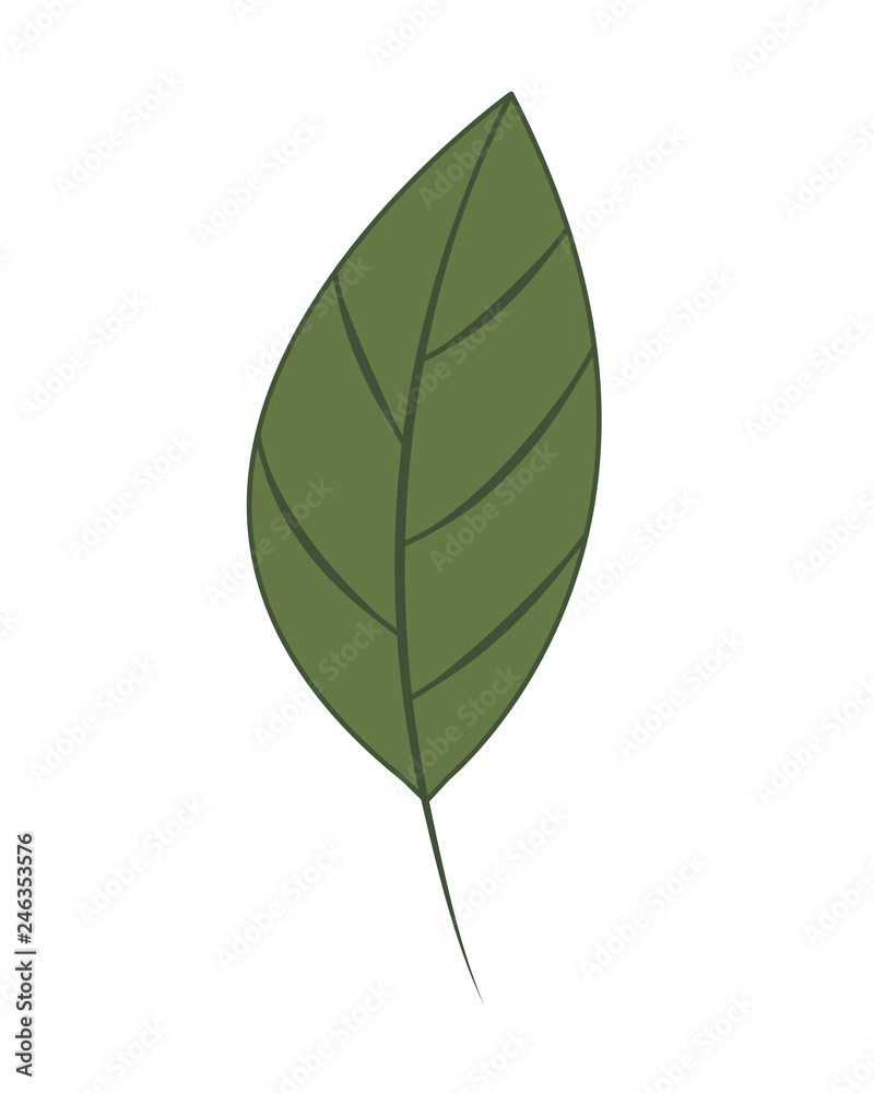 branch with leaf isolated icon branch with leaf isolated icon