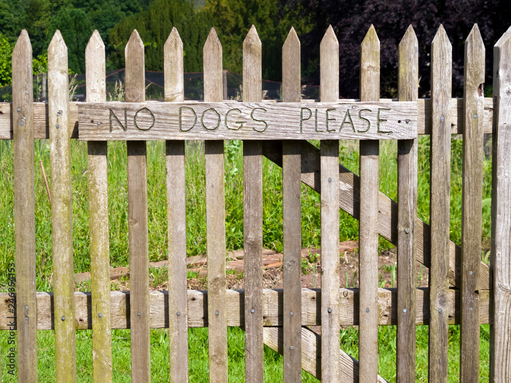 No Dogs Please. Sign on an allotment garden gate.