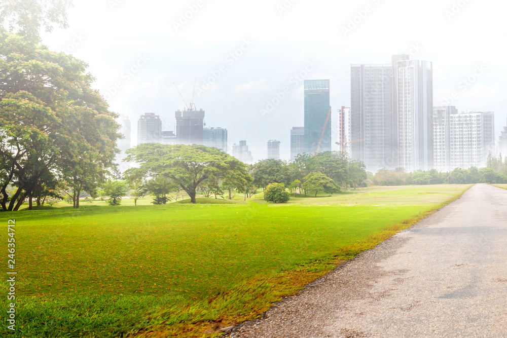 Green park in city on pollution dust PM 2.5 cover urban. Tree planting and green space concept To reduce air pollution in the city.