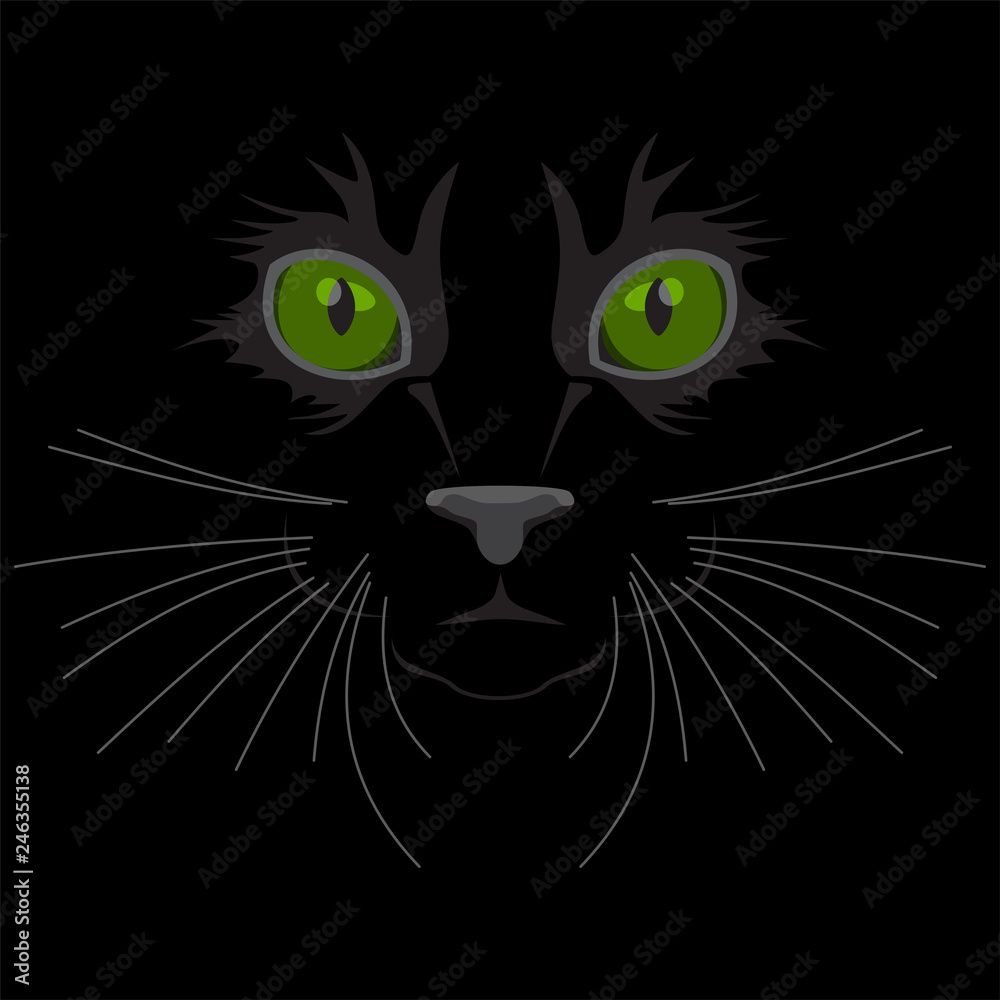 Muzzle of a cat on a black background. Big green eyes, nose and moustaches of an animal cat. Flat design.