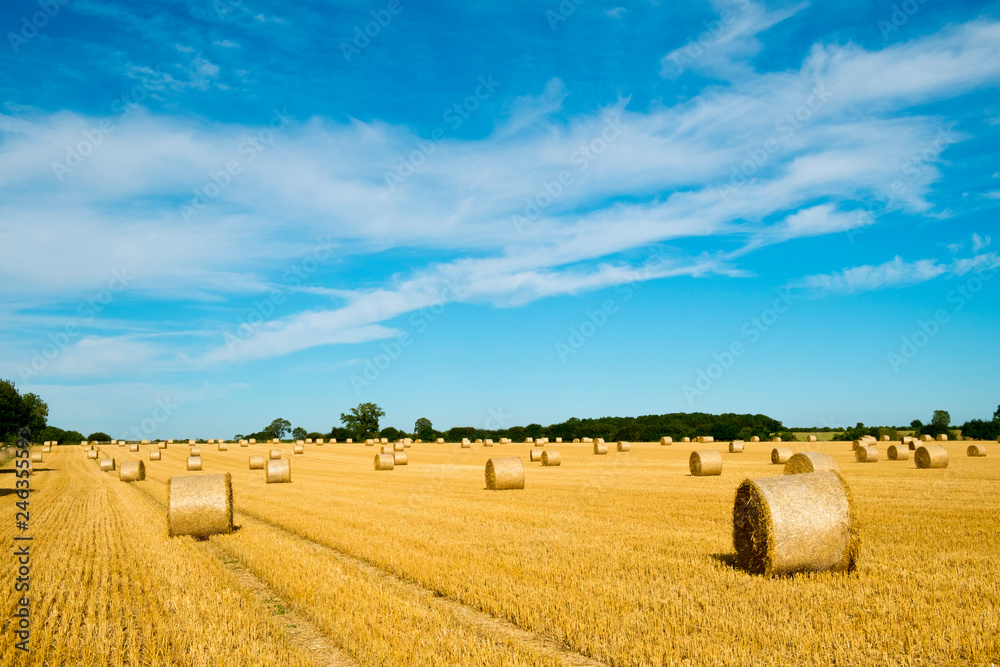 Late summer harvest field landscape near Tetbury, Gloucestershire, UK
