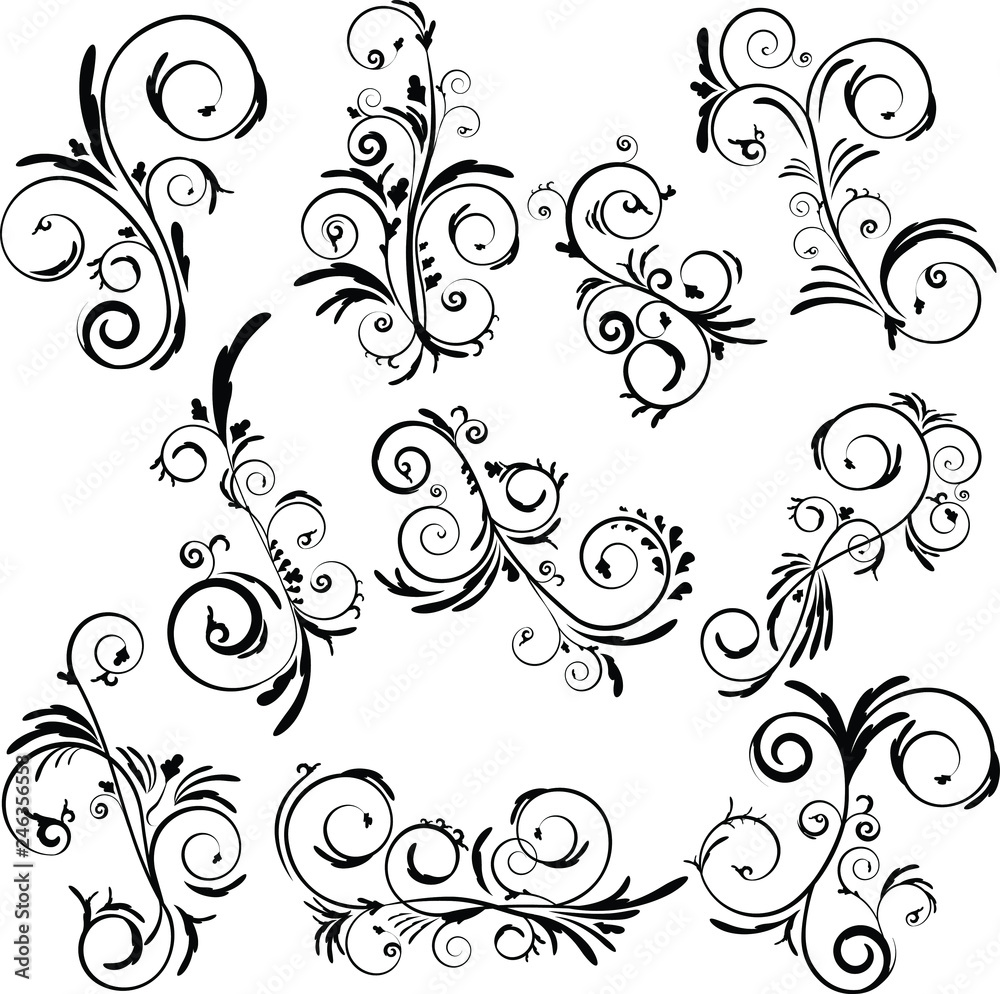 Abstract elegant curly set. Swirl beautiful floral vector collection. Decorative leaves and wavys.