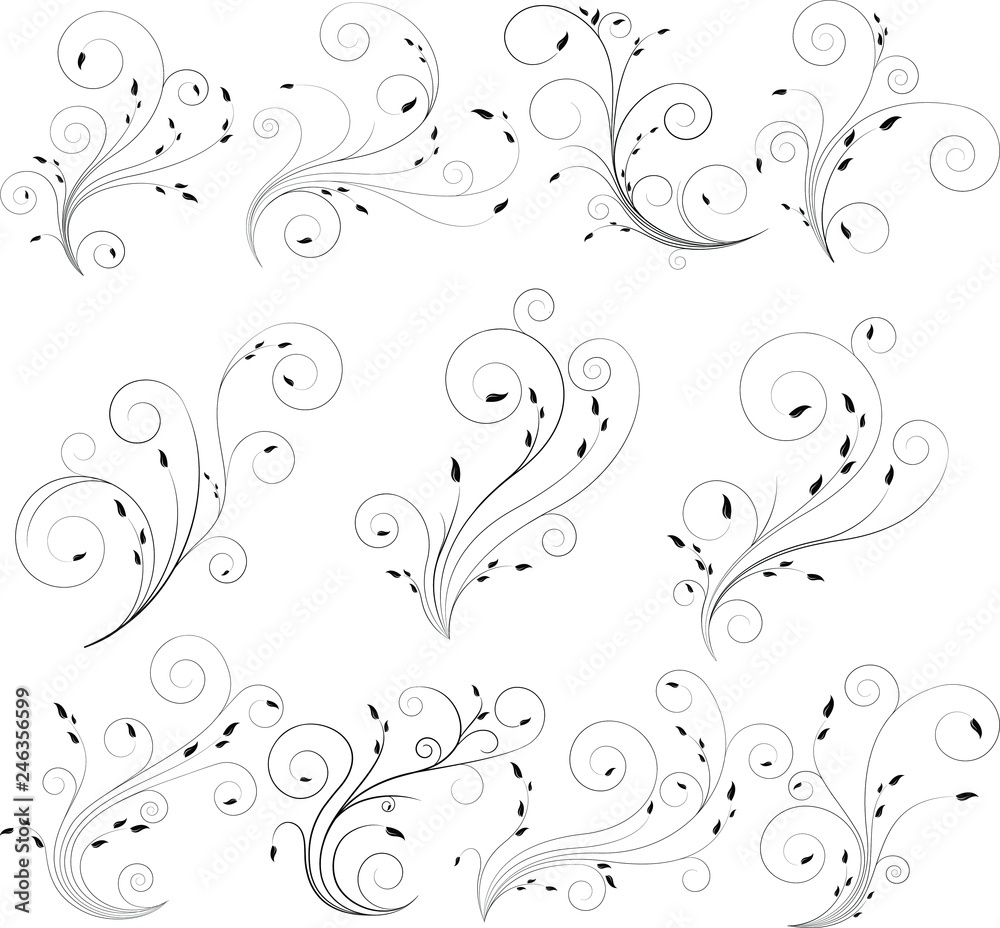 Thin curly floral lines with delicate leaf. Swirl black floral vector colection. Elegant spiral concept.