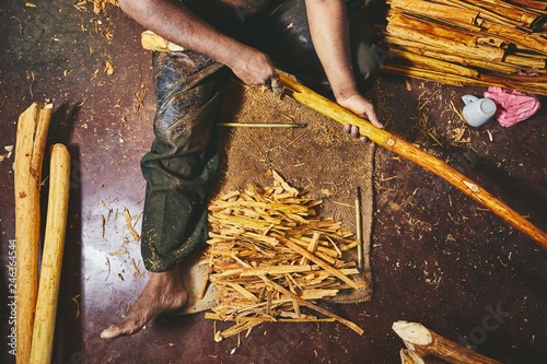 Production of the cinnamon sticks photo