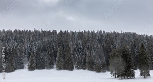 Snow. Sky. Landscape. Winter. Forest. Hills. Cold