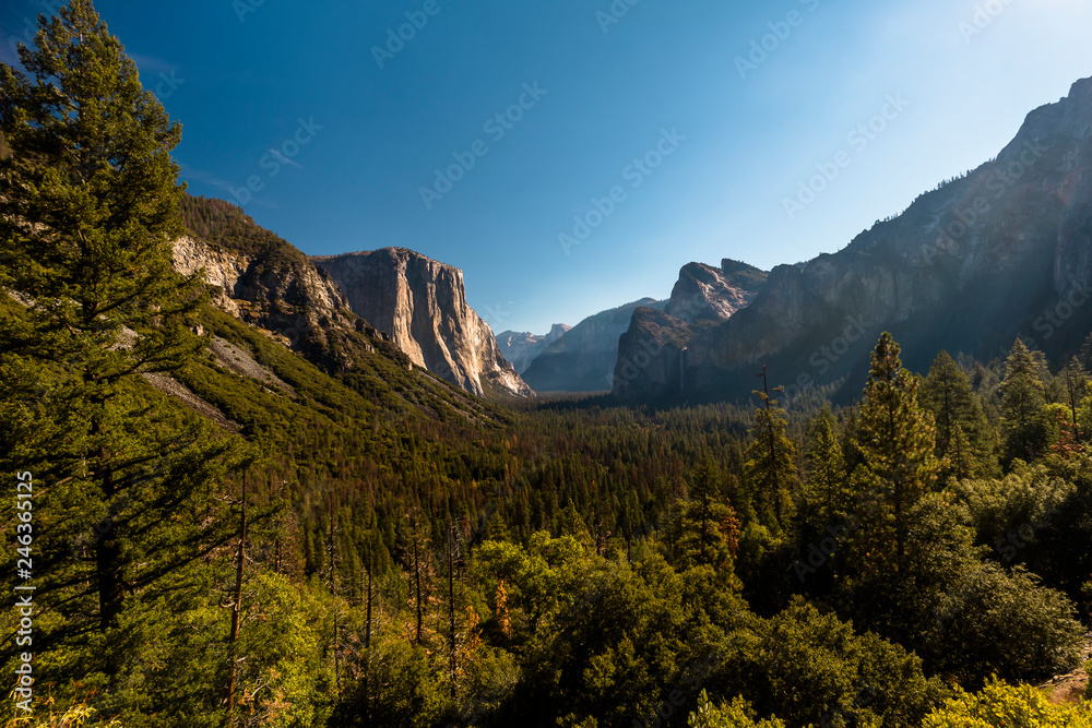 El Capitan / Yosemite