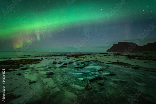 Lofoten aurora above moutains and sea © PawelUchorczak