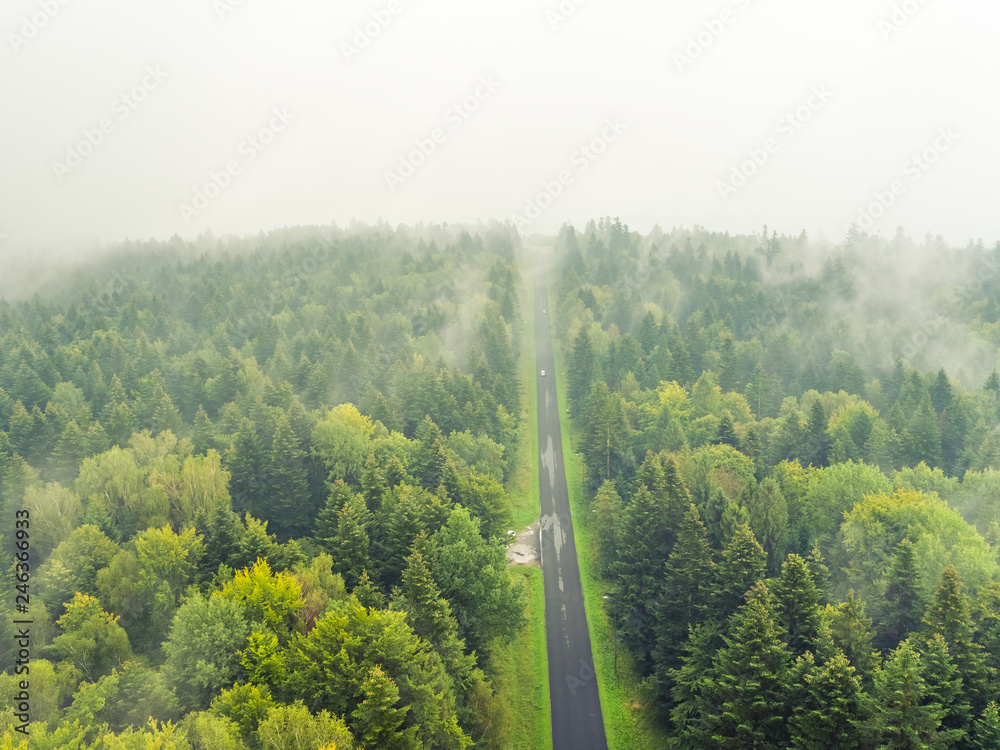 Bieszczady, mgła, drona przez las