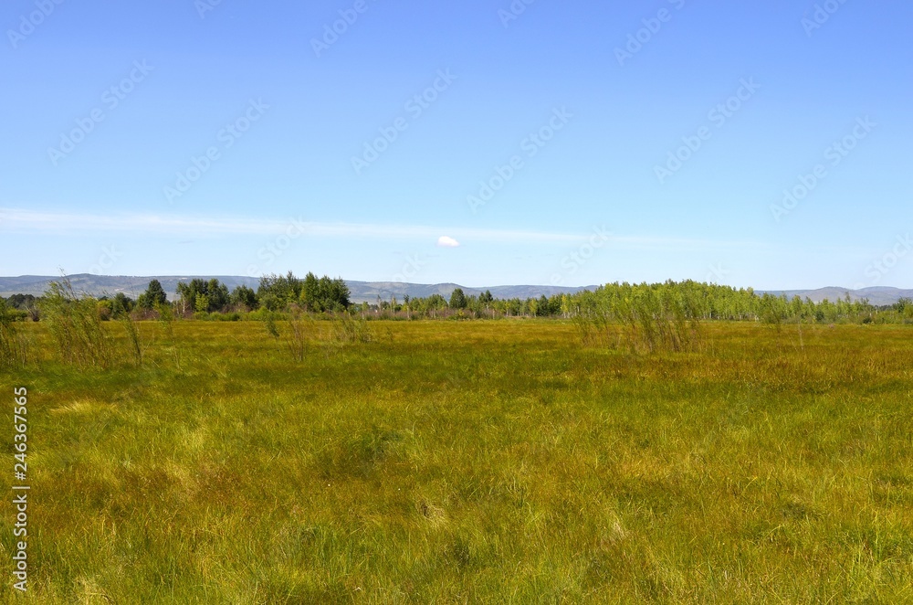 Green meadow behind the outskirts on a summer day Green meadow behind the outskirts on a summer day