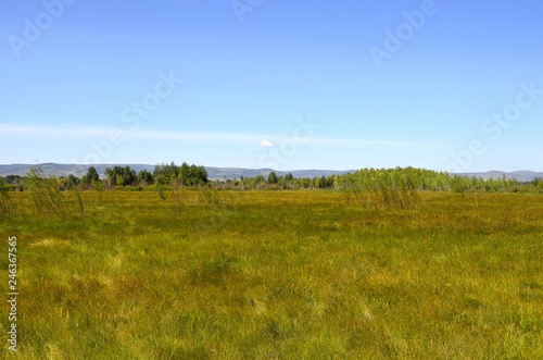 Green meadow behind the outskirts on a summer day