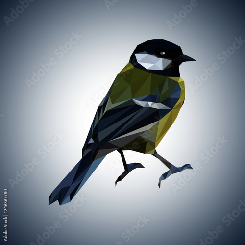 Great Tit