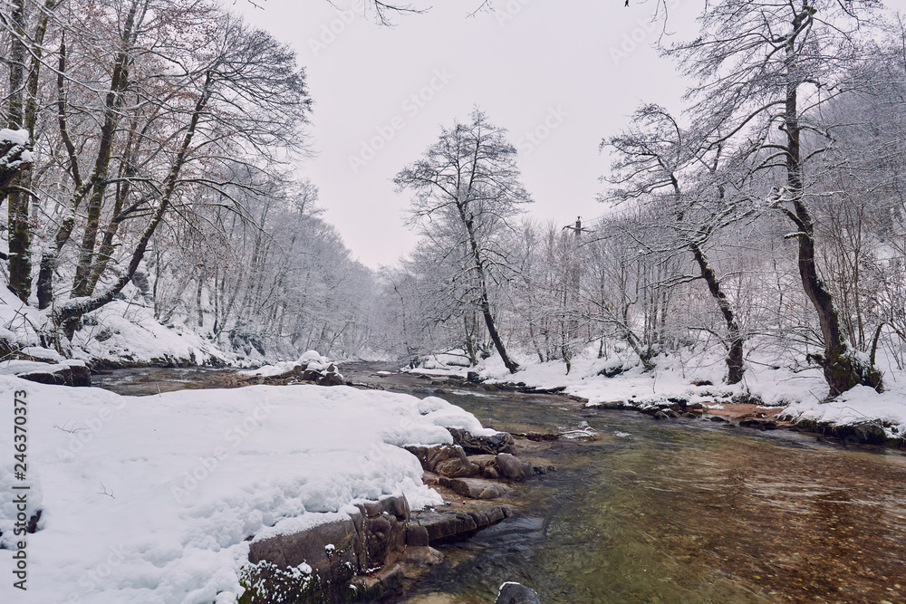 Landscape with river in the winter