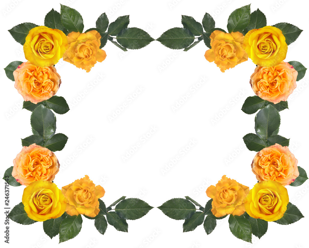 golden rose frame on white background