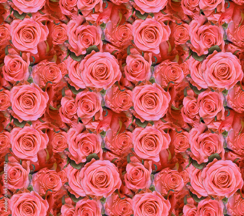 Fototapeta Naklejka Na Ścianę i Meble -  light red roses seamless background