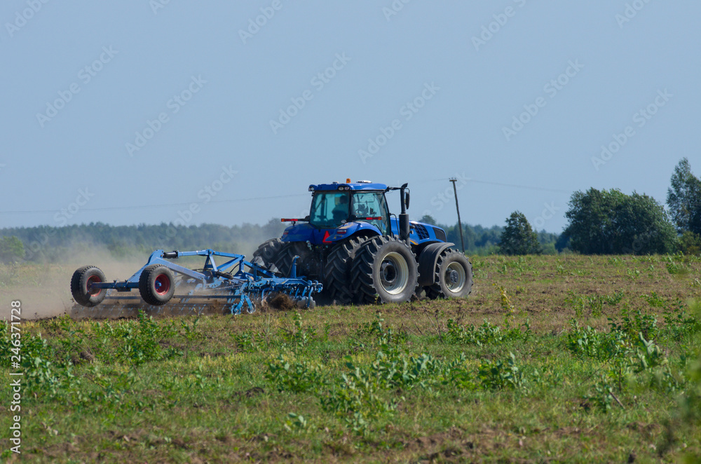Blue tractor plowing the green field with an iron harrow in the plowing season