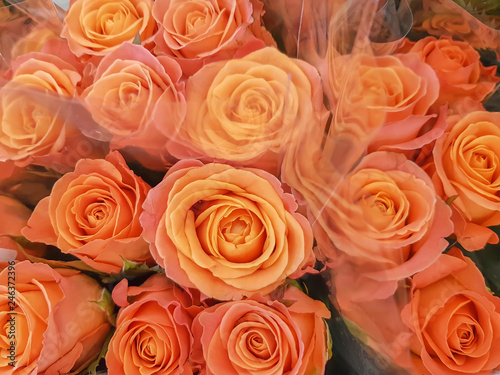 Bouquets of roses  close-up