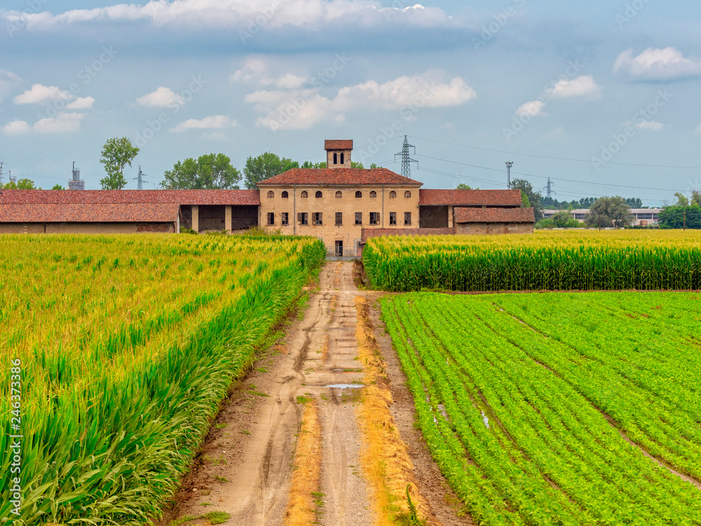 Rural landscape near Casale Monferrato