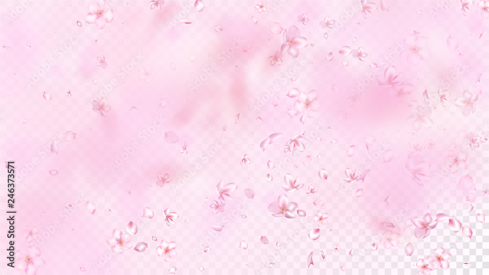 Nice Sakura Blossom Isolated Vector. Tender Flying 3d Petals Wedding Design. Japanese Oriental Flowers Wallpaper. Valentine, Mother's Day Tender Nice Sakura Blossom Isolated on Rose Nice Sakura Blossom Isolated Vector. Tender Flying 3d Petals Wedding Design. Japanese Oriental Flowers Wallpaper. Valentine, Mother's Day Tender Nice Sakura Blossom Isolated on Rose