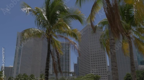 View of Downtown skyscrapers from Bayfront Park, Little Havana, Miami, Florida, United States of America, North America photo