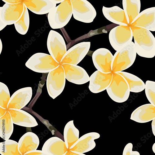 Seamless pattern yellow pastel Frangipani plumeria flowers on black background. 