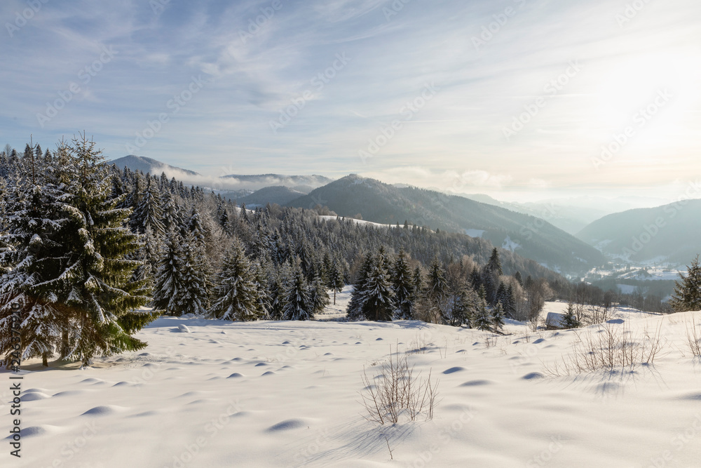 Mountain landscape with fir trees covered in snow