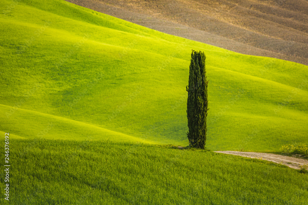 Fototapeta Krajobraz Toskanii na wiosnę zielone łąki Italii