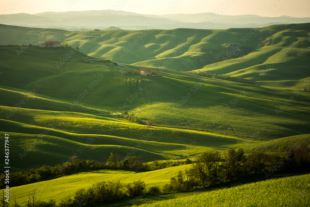 Tuscany landscape in spring green meadows of italia